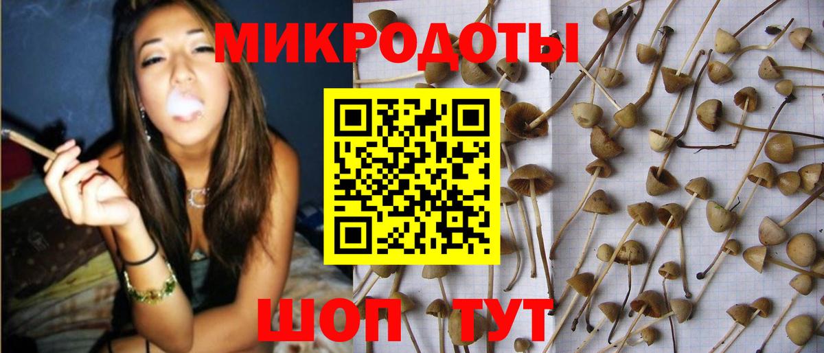 Галлюциногенные грибы GOLDEN TEACHER Калининград