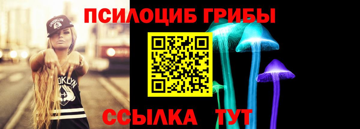 Псилоцибиновые грибы MAGIC MUSHROOMS  Псилоцибиновые грибы Magic Shrooms  Калининград  Вход с VPN 